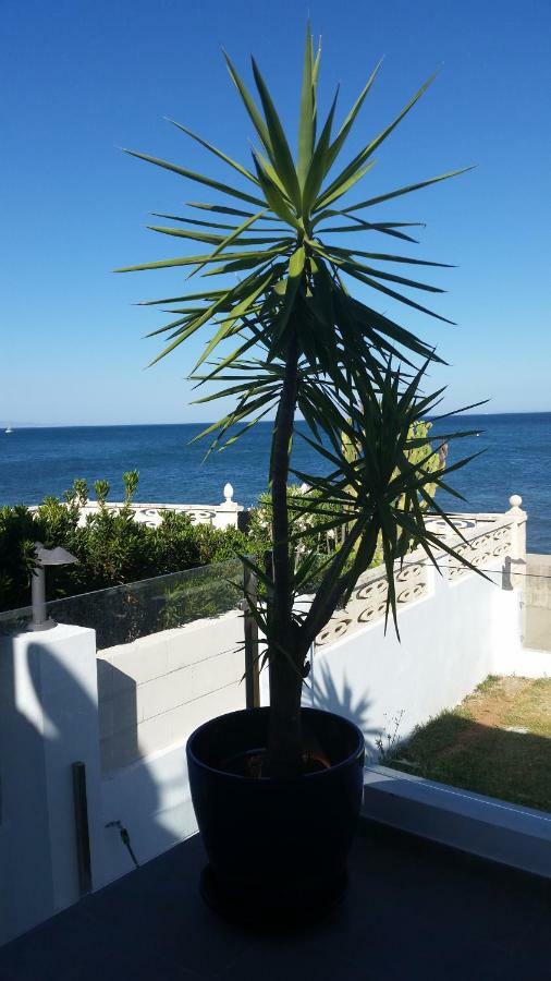 אסטפונה Beach-Front Bahia Dorada מראה חיצוני תמונה